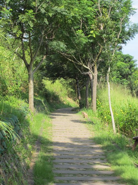 2019-07-25 竹坑-南寮登山步道635976