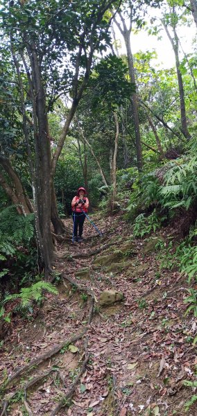 內溝山-油桐嶺-翠湖-老鷹尖南峰-老鷹尖932653