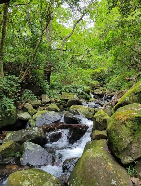 2022.09.20 小觀音山-大屯溪古道1852190