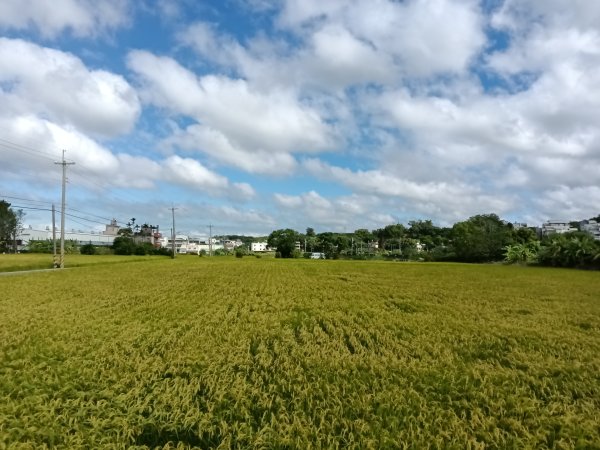 頭份鎮鹿廚坑步道+鹿廚坑山2937988
