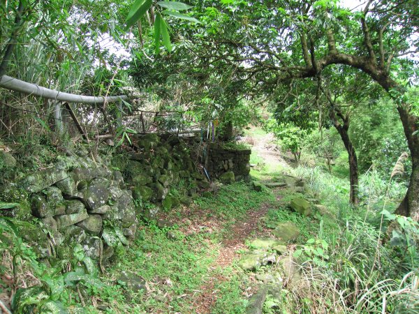木柵猴山坑古道1957695