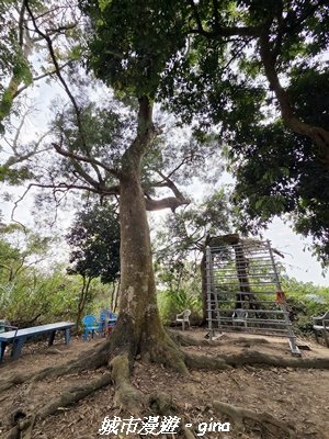 【高雄田寮】小百岳大崗山x大崗山磐龍峽谷步道3013140