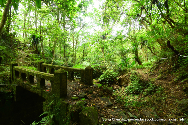 北台灣最長的石造水梘 (石造引水道) 2025 D0810 九芎坑圳沽古道 → 石造水梘→  上九芎坑橋→  中九芎坑橋 → 大舌湖山