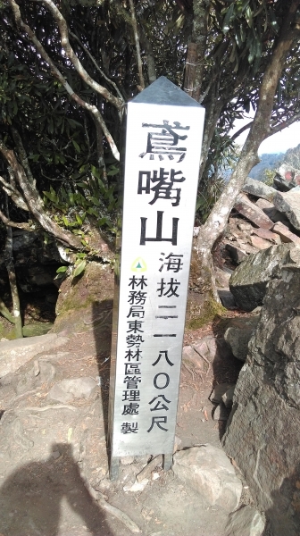 20160305鳶嘴山32423