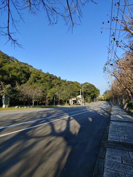 20200131鐵砧山登山步道819379