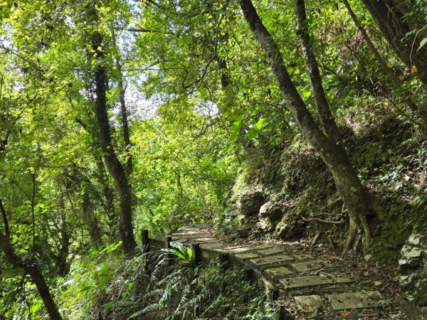 池南國家森林遊樂區2595262