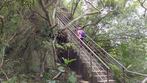 (姨婆趴趴走)第十九集:台北四獸山連線縱走2251720