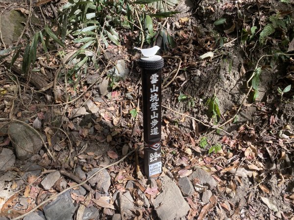 《雪山坑登山步道｜巨人之手森林秘境 Xueshankeng Hiking Trail & Giant2971104