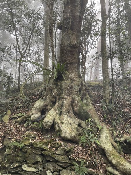 藤枝山&鳴海山2964425