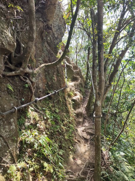 微笑山線：【二格山系】筆架連峰段2920965