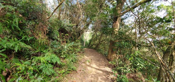 2022-01/09-桃園大溪-溪州山1578435