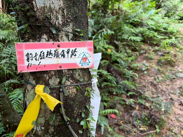虎豹雙棲越野17K複習跑-part23072603