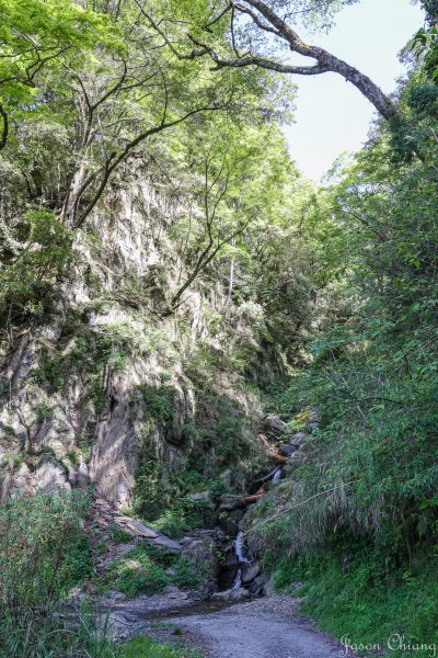 [百岳]大霸群峰1682326