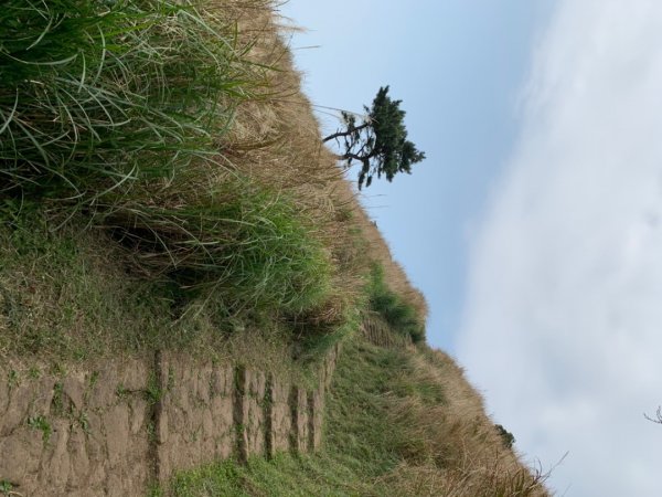 台北大縱走第二段1635013