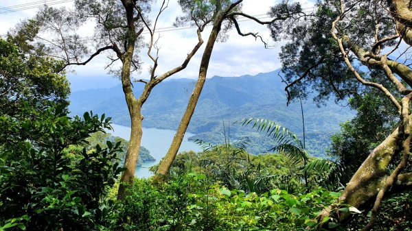 新竹油羅山，石光古道，桃園溪洲山，新溪洲山，頭寮山，頭寮大池，大艽芎古道，總督府古道1741553