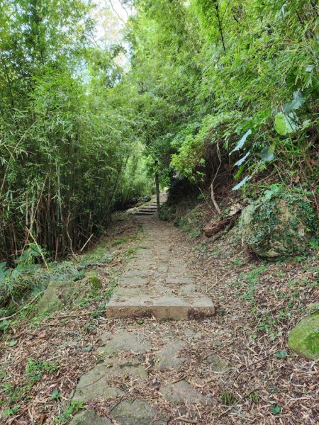 20230806 走遍陽明山最終回，大屯山群峰2240867