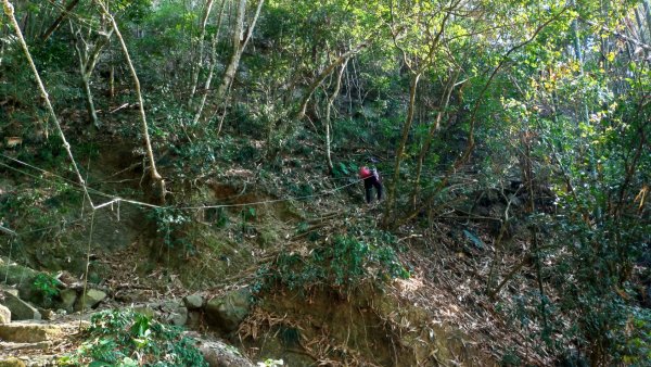 【獵鷹尖、一線天】連走【梅峰、竹子尖山】872200