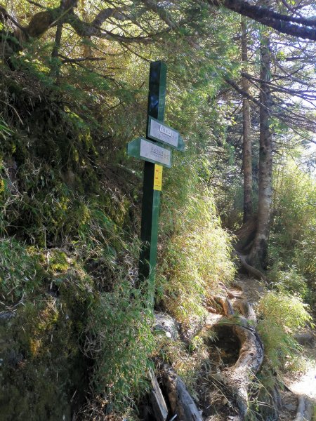 2019-12-09_奇萊主峰2日868689