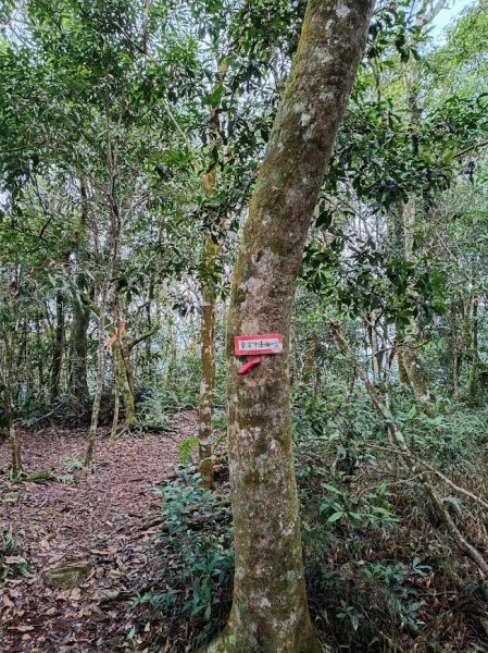 2025 12/27 鳴海山2970994