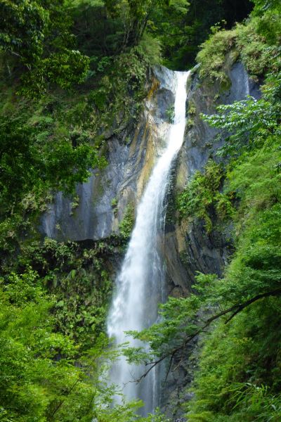 【新聞】「原住民族日」悠遊奧萬大 原民入園只要10元