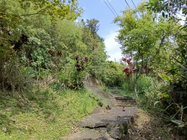 雙溪區三叉港+遠景古道+楊廷理古道+雞母嶺街O型2758667