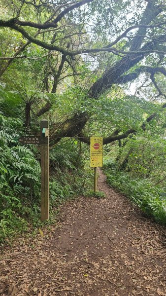 2026-0116 大屯三山_貴子坑_北投2984733