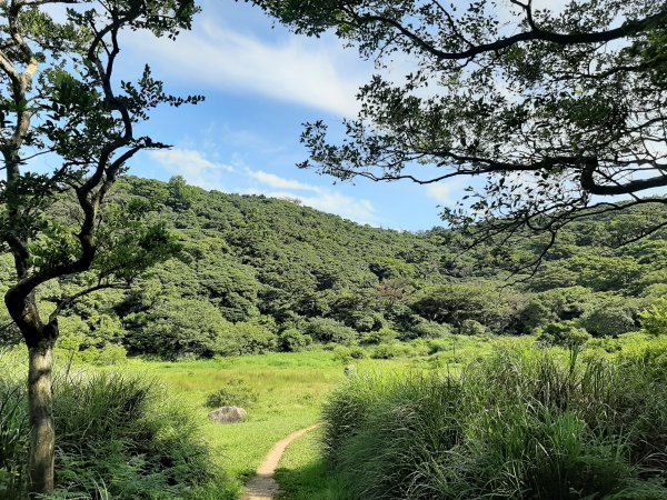 端午登高順陽好節氣 炎炎夏日。登高看雲去1008919