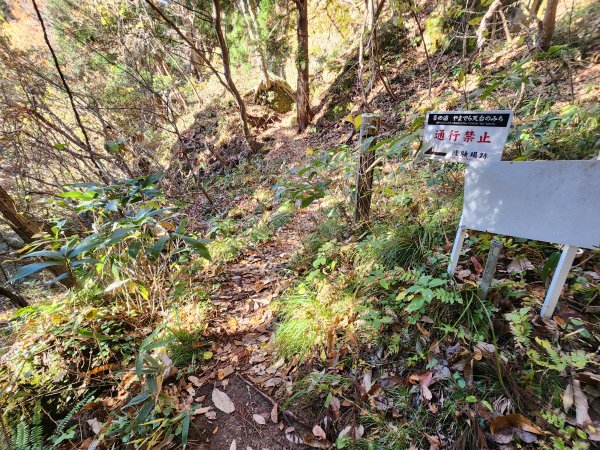 20251123秘境車站峠駅與垂水遺跡2957777