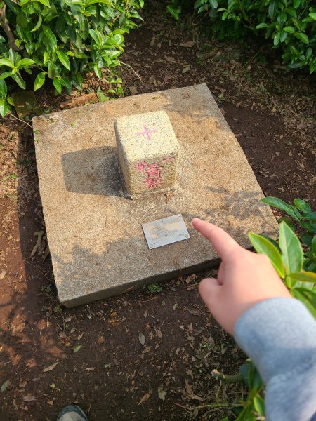 藤山步道之微熱山丘2751675