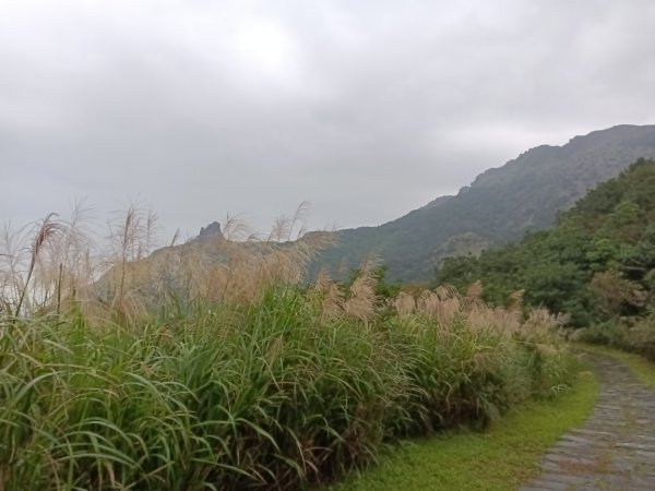 瑞芳區本山地質公園步道+草山公路+百二崁古道+樹梅坪古道O型2945518