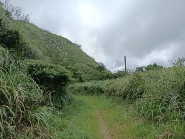 瑞芳區找尋半屏大瀑布未果2880969