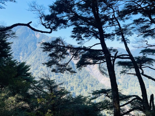 1140404二訪～塔關山2754068