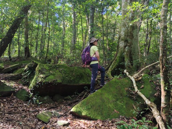 大混李棟山2816334