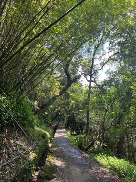 台北 陽明山 絹絲瀑布-擎天崗2722173