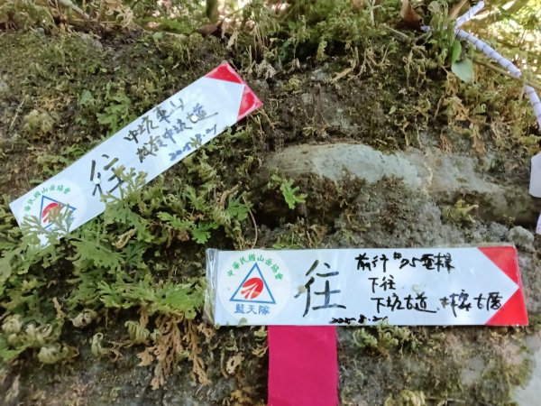 雙溪區中坑東山去回+林厝前荷花2877646