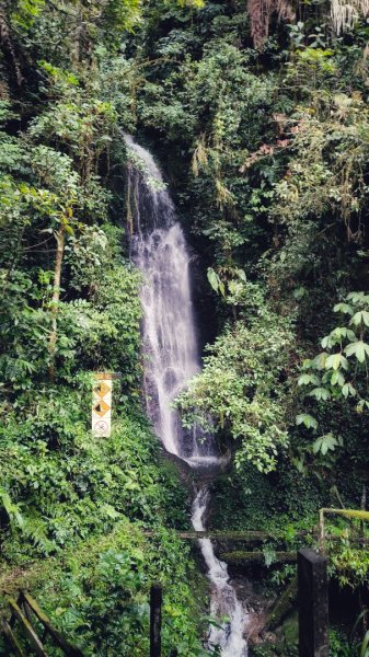 馬來西亞神山+鋼索探險2881708
