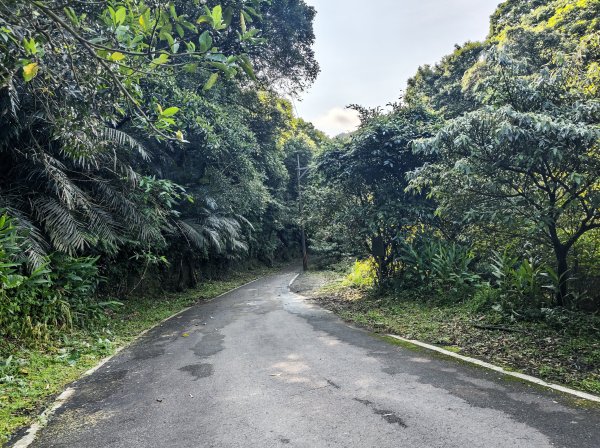 [淡蘭古道] 2026_0502 北路第一段_燦光寮古道3047539
