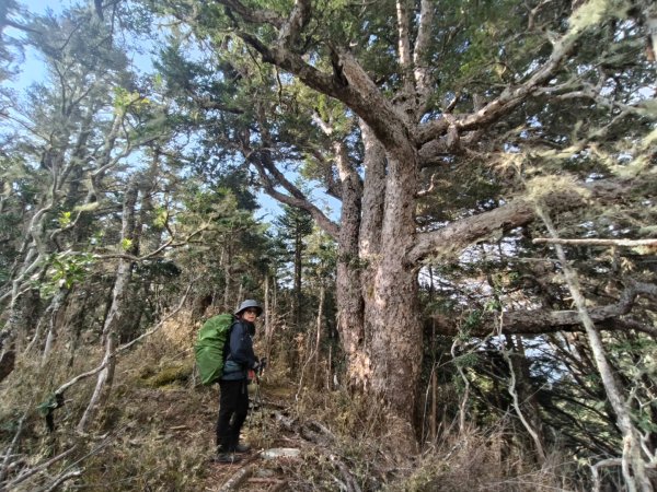 20240322 馬博8天縱走~第七天，馬西山，喀西帕南山2471478
