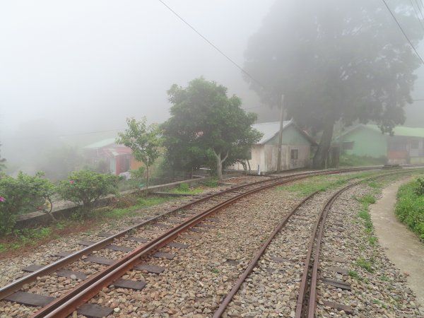 寧靜的小山村:水社寮973323