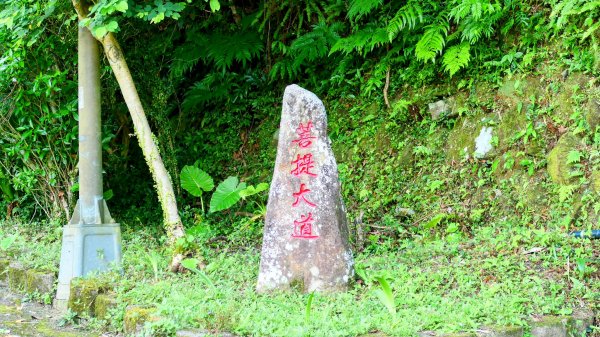 南勢坑小尖,大尖2816033