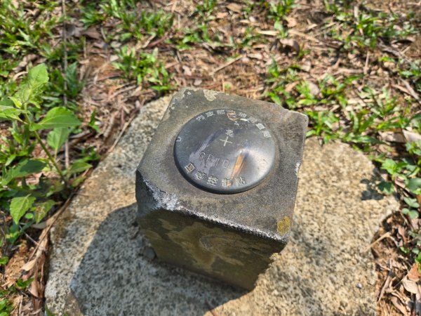 350高地、阿凰臘森林步道3033484