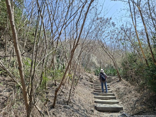 《高雄》泥岩惡地｜漯底山自然公園大O繞順訪永安、茄萣濕地202603133014681