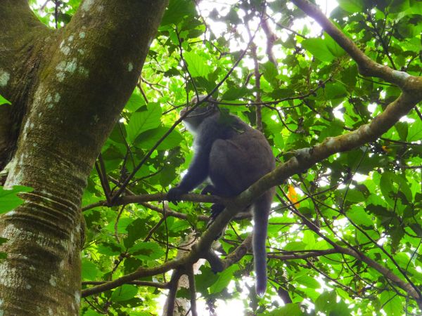 【宜蘭礁溪】清涼一夏：林美石磐步道389960