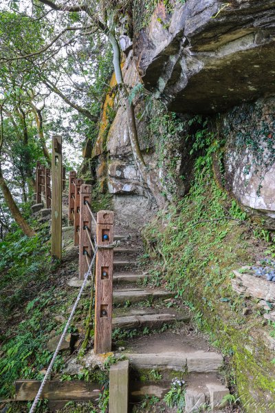 [新北]獅仔頭山2454604