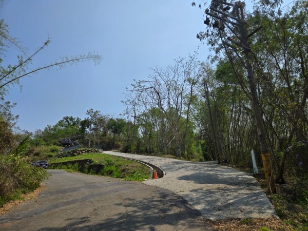 350高地、阿凰臘森林步道3033493
