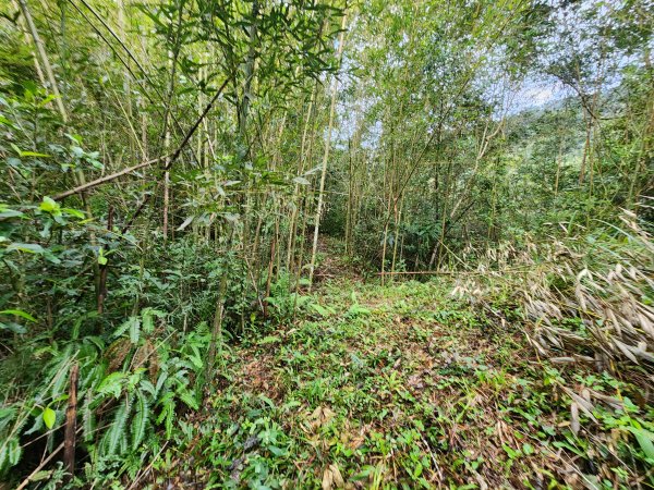 20251214石牛山柑坪山新柑坪山牛背岩2972718