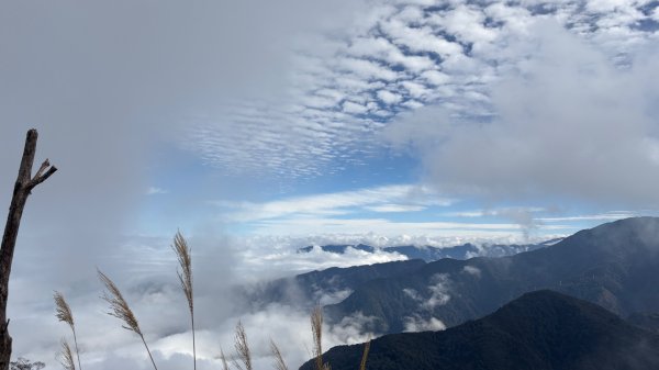 再也不爬囉（告別20252973152