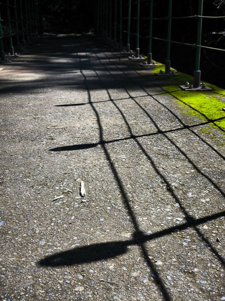 2024-08-22 澀水森林步道2578400