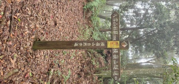 橫沙迪O型縱走_大雪山社區登山口2826548