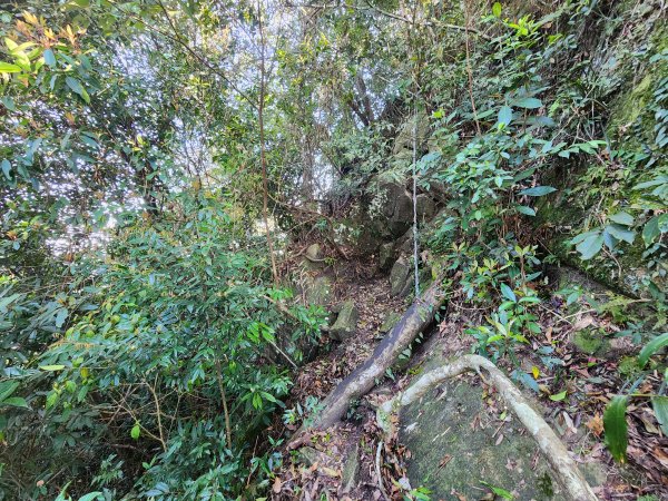 20250323慈湖草嶺山 ~ 五寮尖2781023